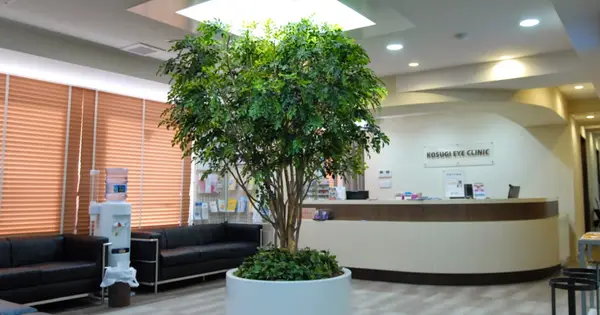 kosugiganka.jp の OGP 画像(縮小したコピー)