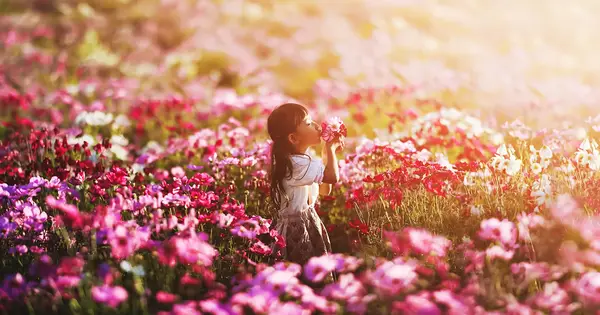 kozan-lavenderhill.com の OGP 画像(縮小したコピー)