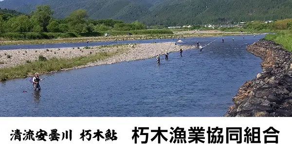 kutsuki-gyokyo.com の OGP 画像(縮小したコピー)