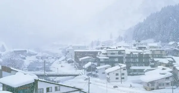 life.japan-web-magazine.com の OGP 画像(縮小したコピー)