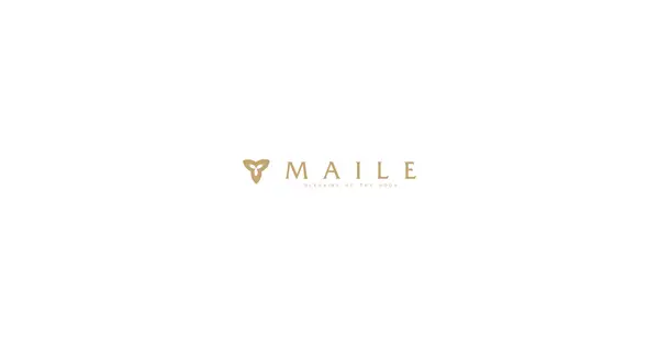 maile.co.jp の OGP 画像(縮小したコピー)