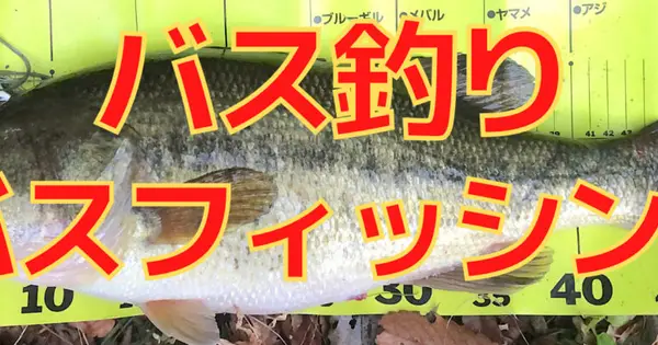 matatamacoron.com の OGP 画像(縮小したコピー)