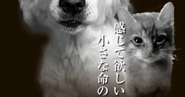 minashigo.jp の OGP 画像(縮小したコピー)