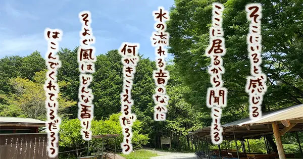 mineshizenen.com の OGP 画像（縮小したコピー）