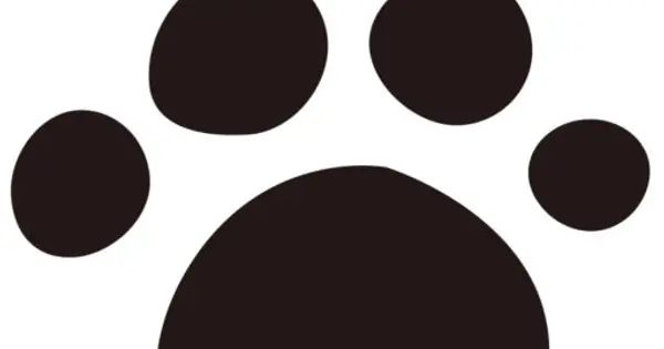 mohamahide.com の OGP 画像(縮小したコピー)
