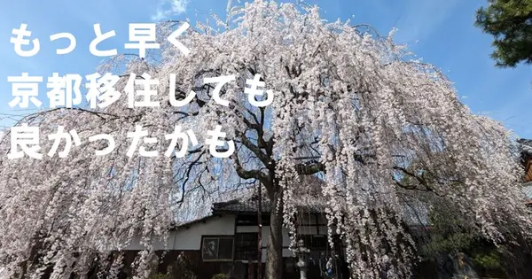 monpul-kyoto.com の OGP 画像(縮小したコピー)