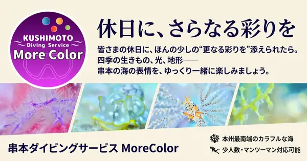 morecolor-kushimoto.com の OGP 画像（縮小したコピー）