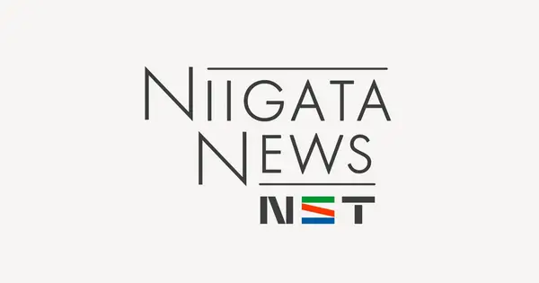 news.nsttv.com の OGP 画像(縮小したコピー)