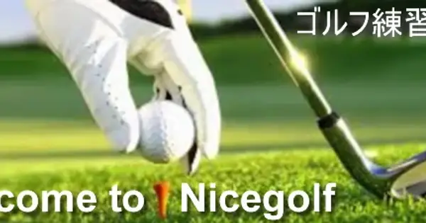 nicegolfcentre.com の OGP 画像（縮小したコピー）