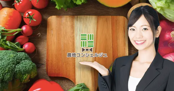 no-chi.com の OGP 画像（縮小したコピー）
