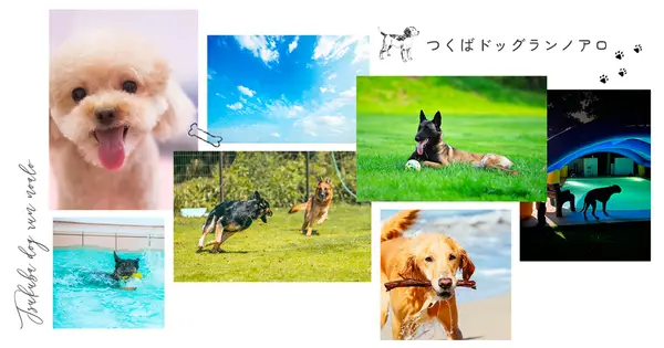 noalo.co.jp の OGP 画像（縮小したコピー）