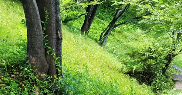 onitobi.com の OGP 画像(縮小したコピー)