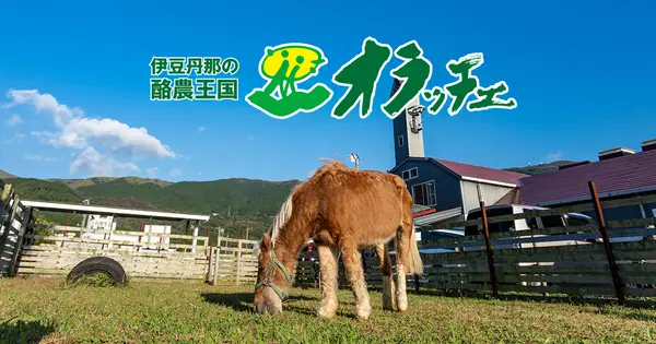 oratche.com の OGP 画像(縮小したコピー)