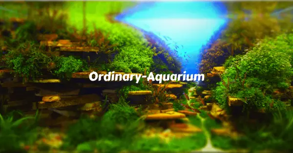 ordinary-aquarium.design の OGP 画像(縮小したコピー)