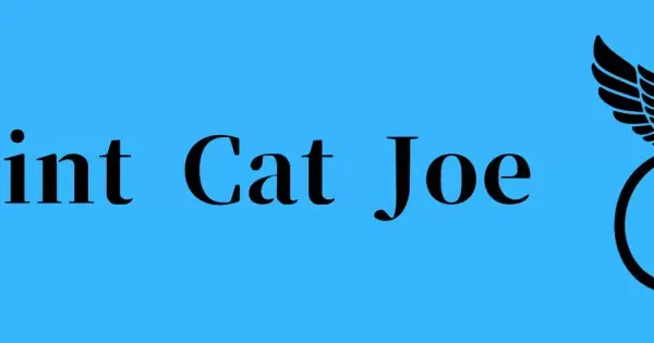 osintcatjoe.com の OGP 画像(縮小したコピー)
