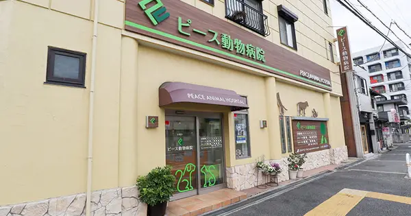 peace-animal-hospital.com の OGP 画像(縮小したコピー)