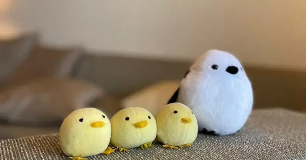 piyos-shimazou.com の OGP 画像(縮小したコピー)