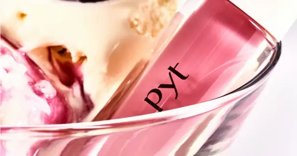 pyt-official.com の OGP 画像(縮小したコピー)
