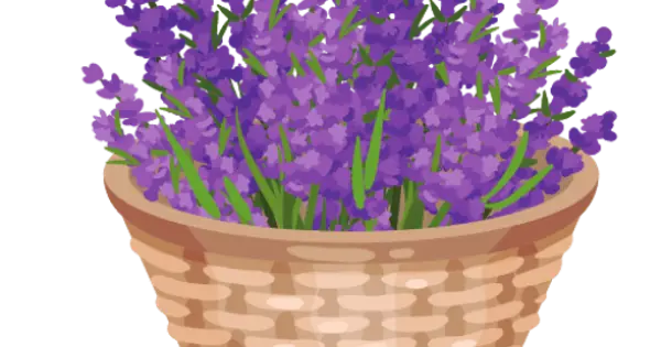 quatresaisons.eu の OGP 画像(縮小したコピー)