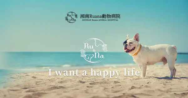 ruana-ah.com の OGP 画像(縮小したコピー)