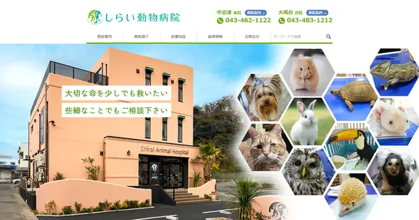 sakura-shirai-ah.com の OGP 画像(縮小したコピー)