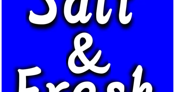 salt-and-fresh.com の OGP 画像（縮小したコピー）