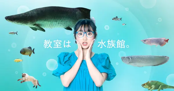 school.kawa-sui.com の OGP 画像（縮小したコピー）