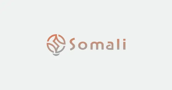 somali.co.jp の OGP 画像(縮小したコピー)