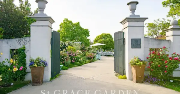 st-grace.jp の OGP 画像(縮小したコピー)