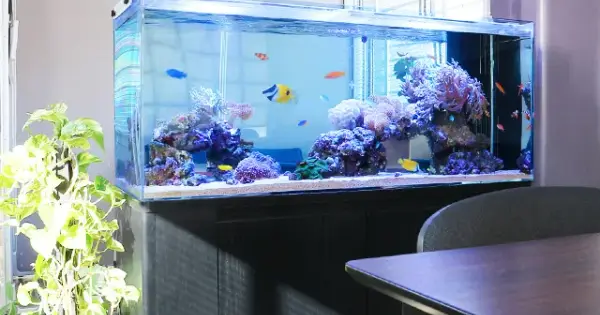 t-aquagarden.com の OGP 画像（縮小したコピー）