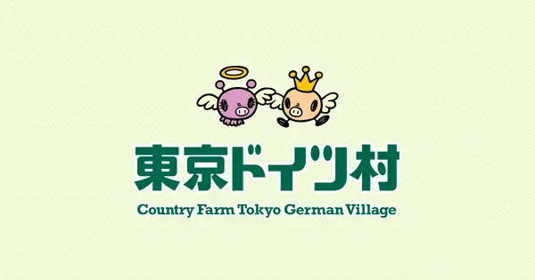 t-doitsumura.co.jp の OGP 画像(縮小したコピー)