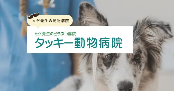 tacky-ah.com の OGP 画像(縮小したコピー)