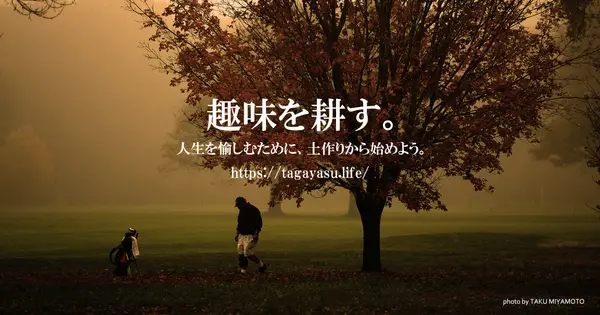 tagayasu.life の OGP 画像(縮小したコピー)