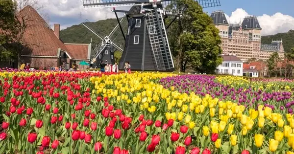 tanoshi-nagasaki.jp の OGP 画像(縮小したコピー)