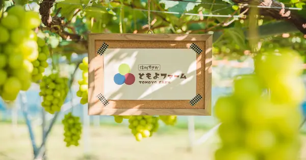 tomoyo-farm.com の OGP 画像(縮小したコピー)