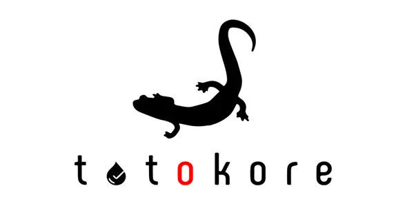 totokore.com の OGP 画像(縮小したコピー)
