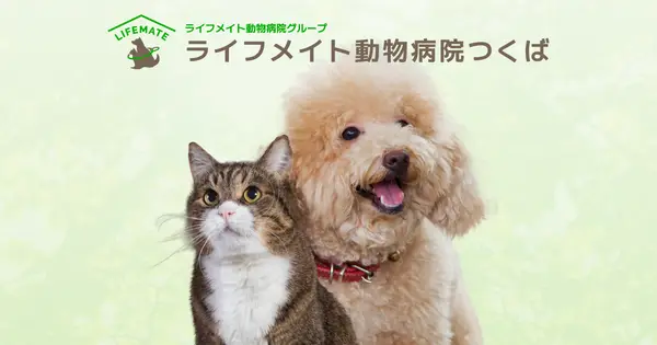 tsukuba.lifemate-vh.com の OGP 画像(縮小したコピー)