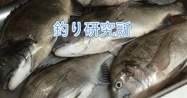 tsurikenkyujo.jp の OGP 画像(縮小したコピー)