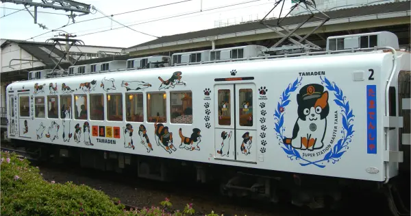wakayama-dentetsu.co.jp の OGP 画像(縮小したコピー)