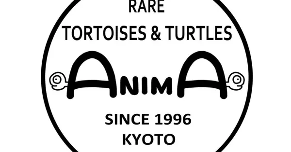 www.anima.ne.jp の OGP 画像(縮小したコピー)