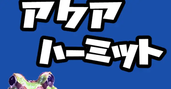 www.aquahermit.com の OGP 画像(縮小したコピー)