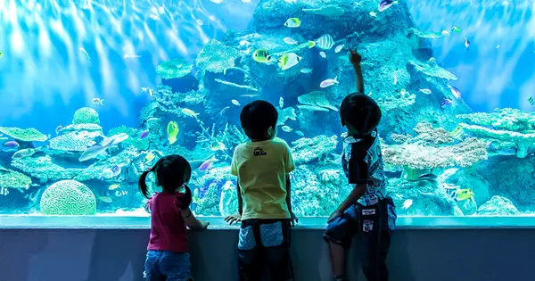 www.aquarium.gr.jp の OGP 画像（縮小したコピー）