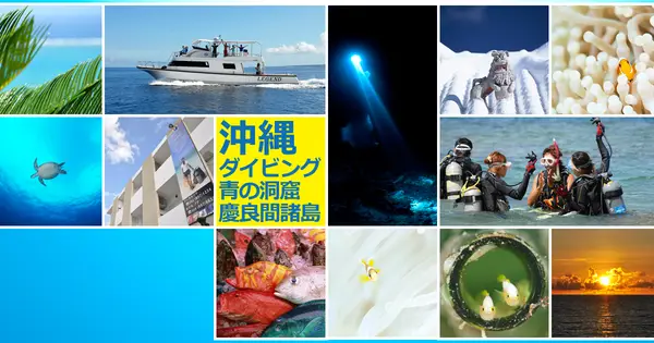 www.arkdive.com の OGP 画像(縮小したコピー)