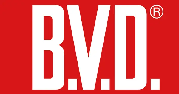 www.bvd.jp の OGP 画像(縮小したコピー)