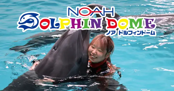 www.dolphindome.jp の OGP 画像(縮小したコピー)