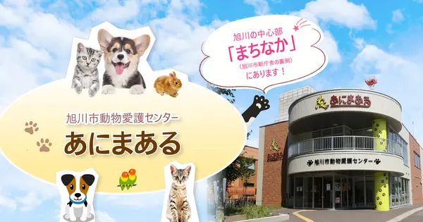 www.douaicenter.jp の OGP 画像(縮小したコピー)