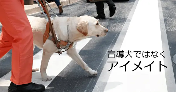 www.eyemate.org の OGP 画像(縮小したコピー)