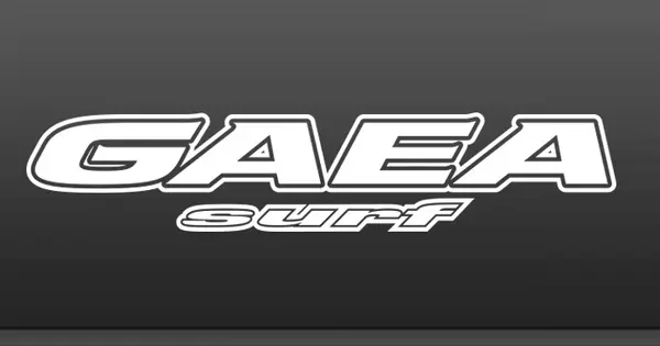 www.gaeasurf.jp の OGP 画像(縮小したコピー)