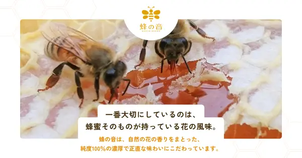 www.hachinone.com の OGP 画像(縮小したコピー)