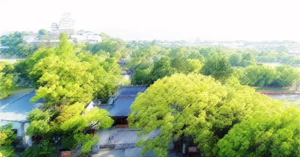 www.himeji-gokoku.jp の OGP 画像(縮小したコピー)